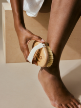 Load image into Gallery viewer, Lanolips Dry Body Brush. Use light pressure in areas where your skin is thin and harder pressure on thicker skin, like the soles of your feet. 
